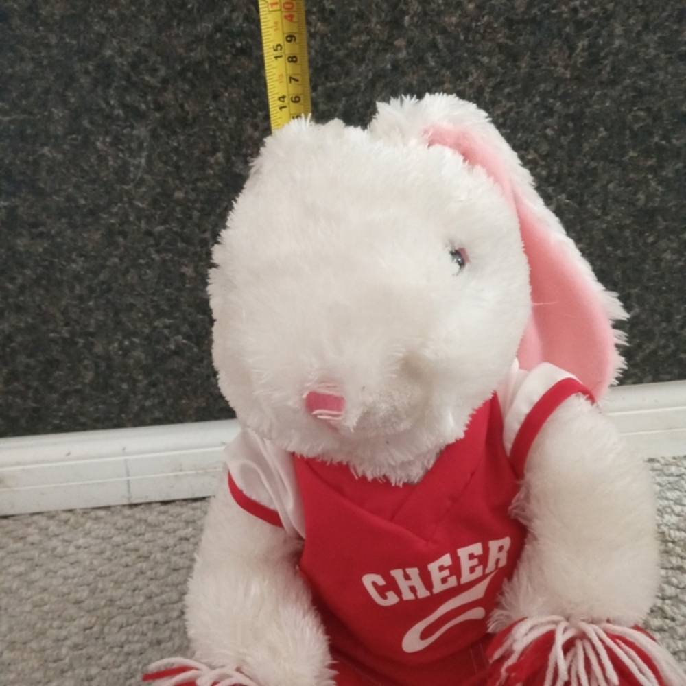 DanDee Cheerleader Rabbit - Picture 2 of 9